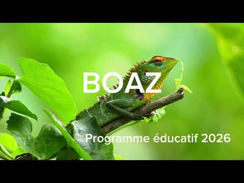 3è, 2nde, 1ère, le bac c’est maintenant !