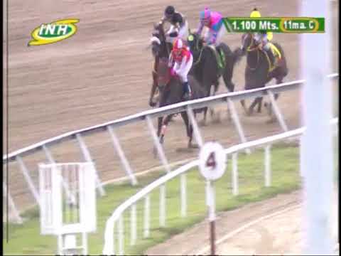 11ma. carrera | La Batalladora | Hipódromo Internacional La Rinconada | Reunión 24 | 2023