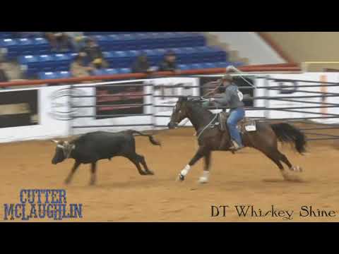DT WHISKEY SHINE & CUTTER McLAUGHLIN NRCHA WORLD SHOW 2020 HIGHLIGHTS