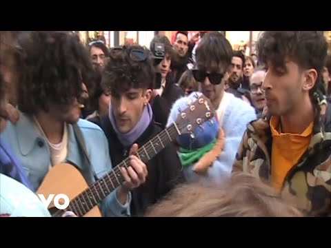 Colla Zio - BILLY CARTER (Visual Art)