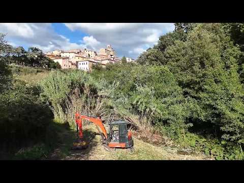 #7 The Excavator Arrives and Makes 2 New Discoveries