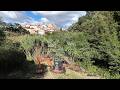 7 The Excavator Arrives And Makes 2 New Discoveries