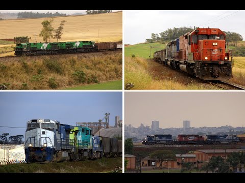 FORTE MOVIMENTO DE TRENS NO NORTE DO PARANÁ - 2025