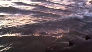 Blonde Redhead In Particular Video.wmv