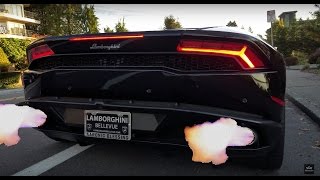 Lamborghini Dreamin'