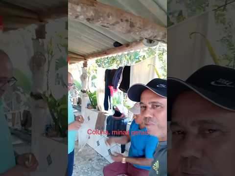 Coluna. minas Gerais.