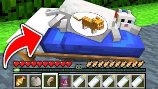 How to play PREGNANT CAT OCELOT in Minecraft! Real life family CAT! Battle NOOB VS PRO Animation
