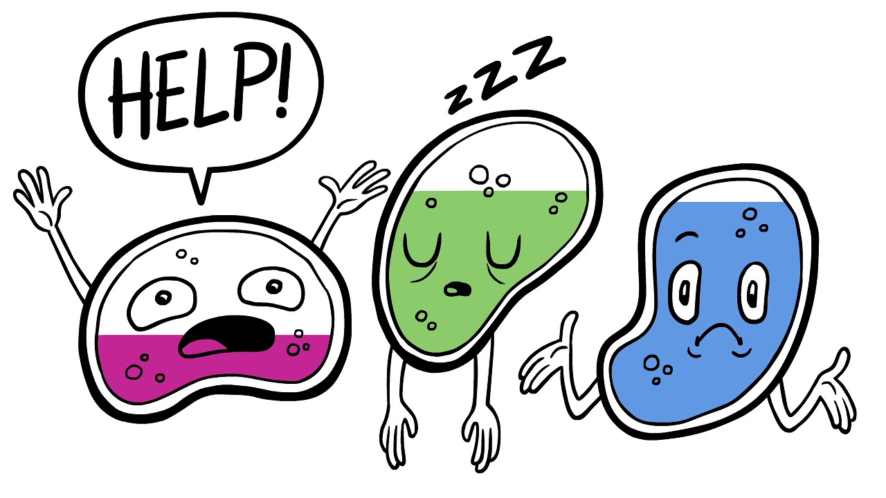 Human-Based Biological Pathways: Where does the information come from?