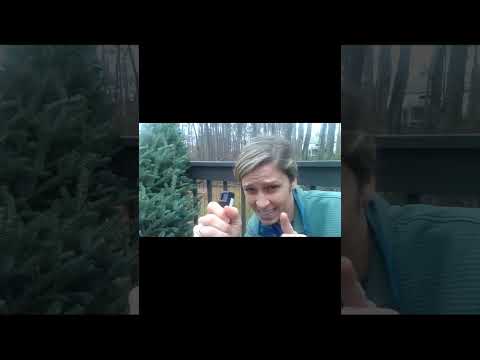 The SABRE Pepper Gel Gun for Self Defense  
