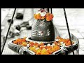 Om Namah Shivaya WhatsApp Status Video Viral WhatsApp Status Video Sankaraya Namaha Om Namah Shivaya
