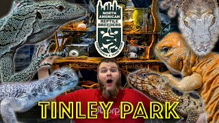 Rarest Reptiles at NARBC Tinley Park 2025!!
