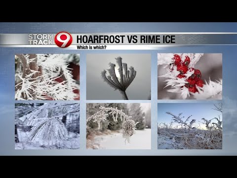 Hoar Frost vs Rime Ice