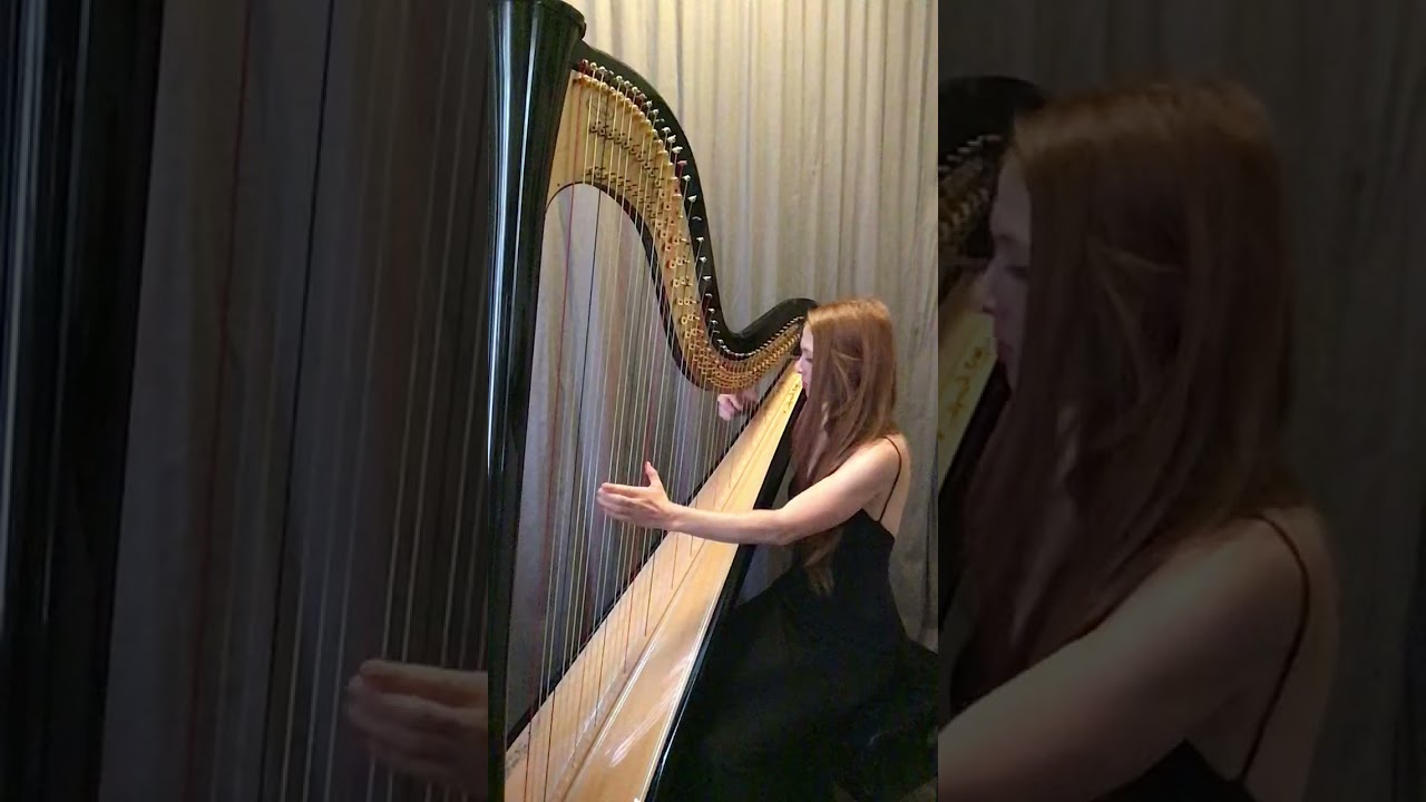 Promotional video thumbnail 2 for Pheobe Madison