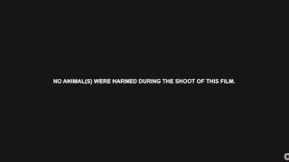 Download lagu New Punjabi Movie Ammy Virk simi chahal mp3 Download lagu New Punjabi Movie Ammy Virk simi chahal mp3