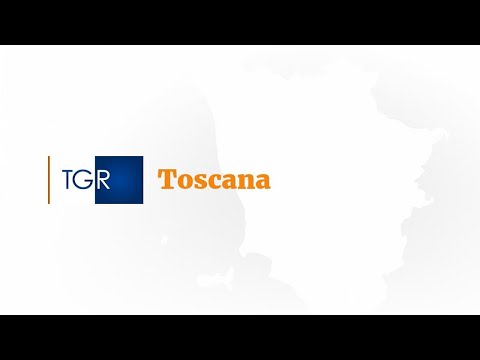 RAI3 TGR TOSCANA - L'appello di Daniela: "Non risparmiate sulla vita delle persone" - (28-04-2023)