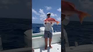 Wonder why we ever go home - Jimmy Buffett