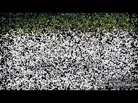 Champ De Mars Horse Racing Analyse (Meeting 28 - 06 October 2018)