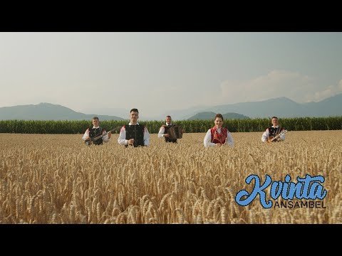 Ansambel KVINTA - Želim si dom (Official Video)