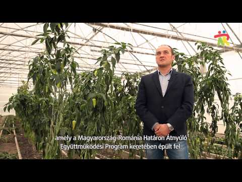 Co-operation Potraits: Hungary-Romania Cross-Border Co-operation Programme (HU)