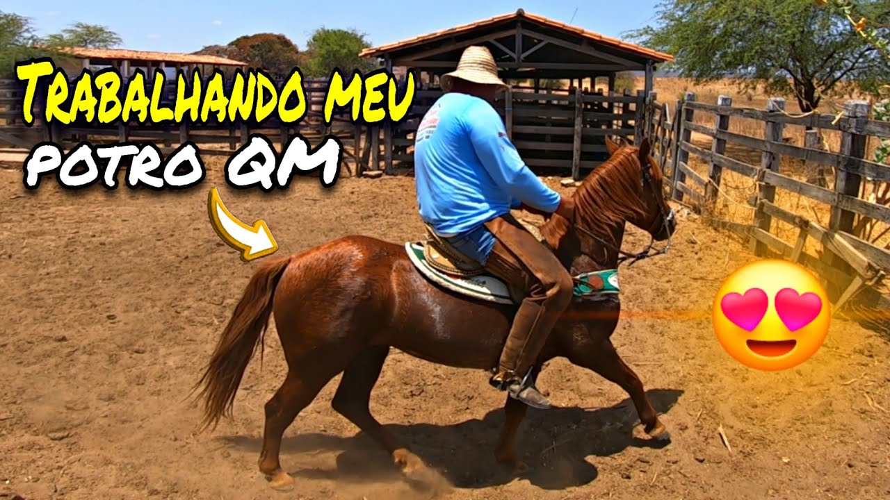 TRABALHANDO MEU POTRO QUARTO DE MILHA | CASTELLO DIFERENTE | O DIA DIA DO VAQUEIRO