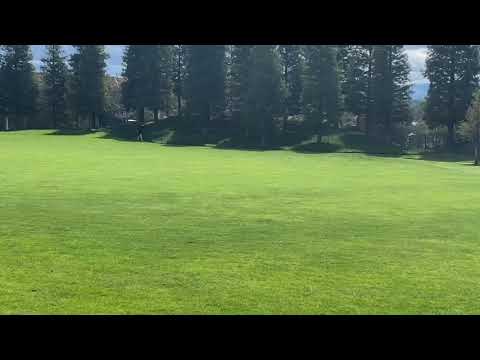 Raif Zakarian Hill Calisthenics