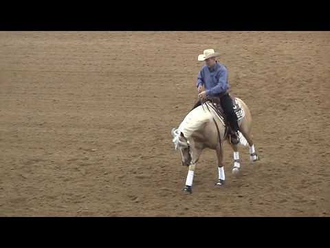 Shinestein ridden by Stefano Calcagnini - 2014 Heritage Futurity(Open Futurity)