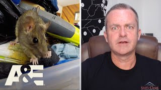 Hoarders: Cory Shares Behind-the-Scenes Photos of Rodent Damage (S11) | A&E