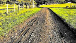 Tim Finn - Walk You Home