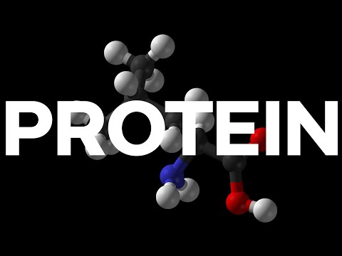 Protein, Muskelproteinsynthese und Krafttraining mit Robert Santana