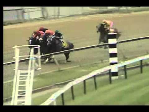 Pimlico 05/18/13 Race 8 - Allaire Dupont Distaff Stakes