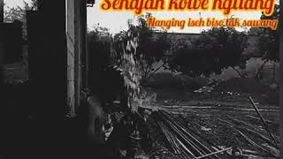 Download lagu Kebacut ambyar | story WA mp3 Download lagu Kebacut ambyar | story WA mp3