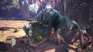 【MHW】闘技大会　プケプケ　ハンマーソロ　02'26"06　ランクS