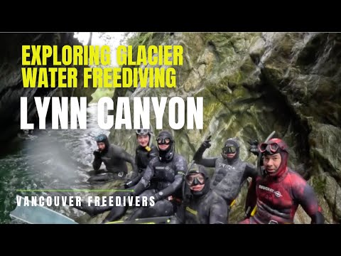 Exploring a rare freediving spot in glacier waters at Lynn Canyon Park