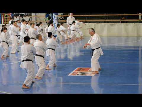 Asociacion Allense de Karate   Sep2019 10mo Curso Zona Sur Sensei Mitsuo Inoue 4