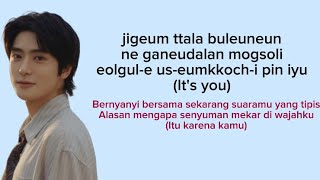 Download lagu Jaehyun ‘Dandelion’ | Lirik Terjemah Indonesia mp3