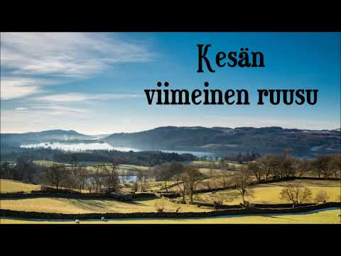 Päivi Paunu: Kesän viimeinen ruusu (The Last Rose of Summer)
