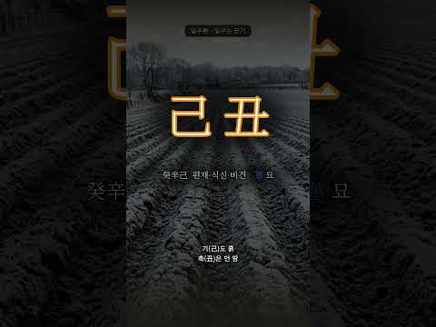 언 땅을 일구는 농부 | 기축(己丑) 일주