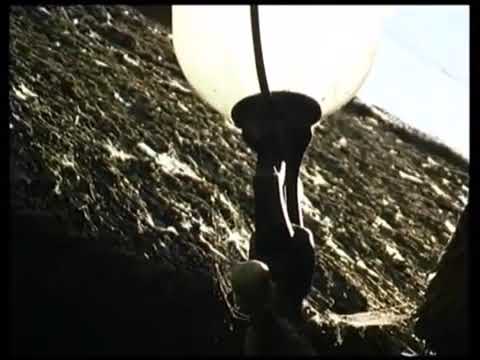 Die Wilhelmsburger Wasserburg