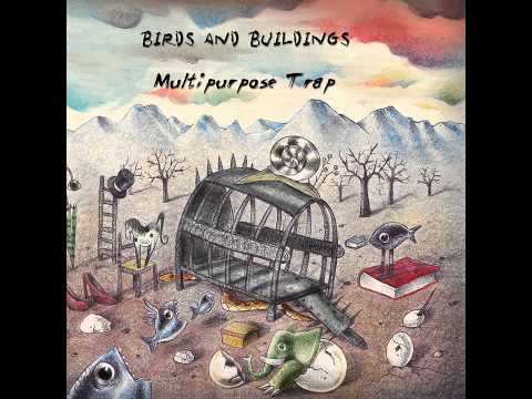 Birds and Buildings - Miracle Pigeon