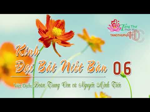 01. Phẩm Thứ Nhất Thọ Mạng Phần 2 -1