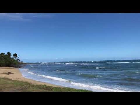 Attitude of Gratitude - Day 28 - Andy Andrews & TaRanda Greene are grateful for the same thing.