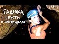 Гадюка, пусти к вампирам! // Всё как у зверей в Коста-Рике Гадюка, пусти к вампирам! // Всё как у зверей в Коста-Рике