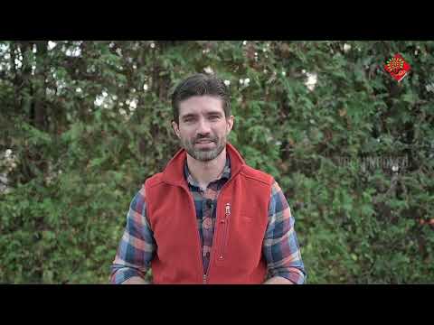 Symposium testimonial