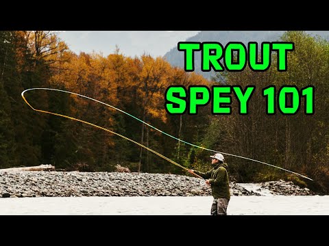 Trout Spey Casting 101: What You Need to Get Started