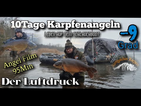 Sternzeichen Karpfen and 2 more