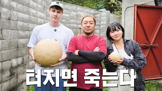 핀란드인과 일본인이 한국어로 소통하는 일본여행