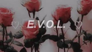 marina - ♡ &quot;E.V.O.L.&quot; ♡ (lyrics)