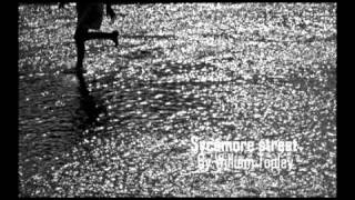 Sycamore street - William Topley