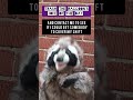 The Ouijia Boardiest Joke Of All Time Funny Youtube Joke Jokes Comedy