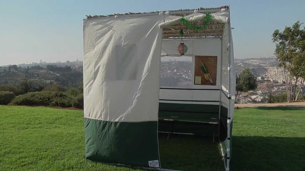 סוכת הדר לנצח - סוכות לנצח - קניית סוכות בזול